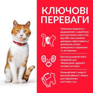 Hill&rsquo;s SCIENCE PLAN Adult Sterilised Cat Chicken Сухий корм для дорослих стерилізованих котів з куркою 0,3 кг