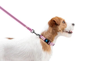 Поводок для собак нейлоновый WAUDOG Nylon, светящийся/светоотражающий, Ш 15 мм, Дл 122 см, розовый