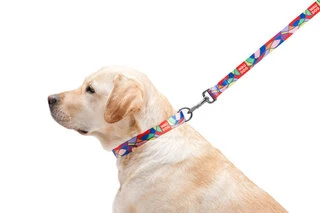 Поводок для собак нейлоновий WAUDOG Nylon, малюнок "Вітраж", Ш 20 мм, Дл 122 см