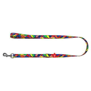 Поводок для собак нейлоновый WAUDOG Nylon, рисунок "Витраж", регулируемый, Ш 25 мм, Дл 152-183 см