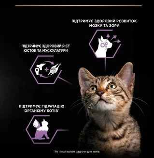 ПАК. Упаковка вологого корму для кошенят Pro Plan індичка мультипак (10x85)