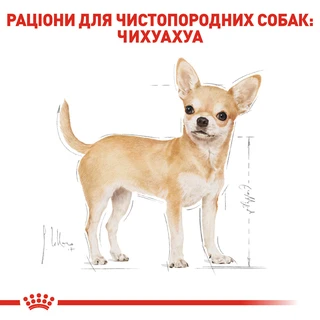 Сухий повнораційний корм для дорослих собак породи чихуахуа Royal Canin Chihuahua Adult віком від 8 місяців та старше 1.5 кг
