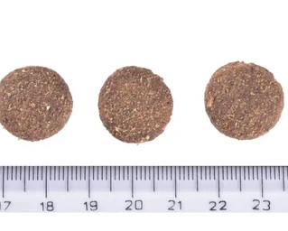 Корм для собак великих порід Brit Care Dog Sustainable Adult Large Breed з куркою та комахами 12 кг (8595602558742)