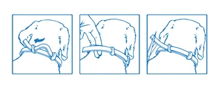 Ошейник Bayer Форесто от блох и клещей для собак и кошек малых пород 38 см