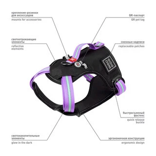 Шлея для собак безопасная WAUDOG Nylon c QR паспортом, металлическая пряжка-фастекс, S, Ш 20 мм, А 35-60 см, В 55-65 см, фиолетовый