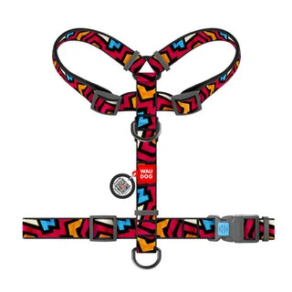 Анатомічний H-образний нашийник для собак WAUDOG Nylon з QR-паспортом, малюнок "Графіті", пластиковий фастекс, S, Ш 15 мм, A 30-40, B 30-50
