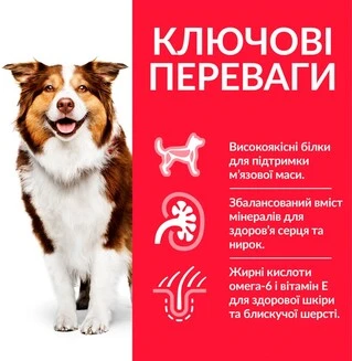 Сухой корм для зрелых собак от 7 лет Hill&rsquo;s Science Plan Mature Adult 7+ Medium Breed с курицей 14 кг