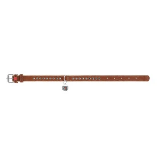 Нашийник для собак шкіряний WAUDOG Soft з QR паспортом, металеві прикраси, Ш 15 мм, Дл 27-37 см