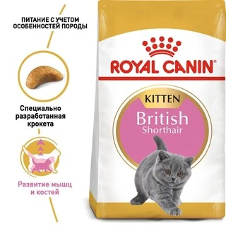 Сухий корм Royal Canin KITTEN BRITISH SHORTHAIR для кошенят Британської породи 10 кг
