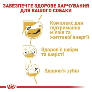 Корм Royal Canin Jack Russell Terrier Adult сухой для собак породы джек рассел 1.5 кг