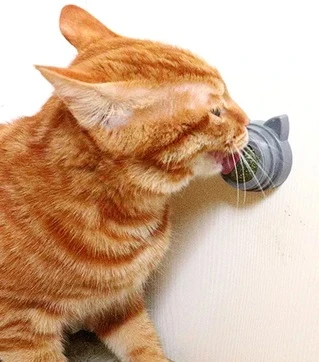 Кошачья мята шарик - лизун для котов Вкусняшка CatNip