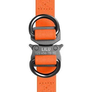 Водостійкий нашийник для собак WAUDOG Waterproof з QR-паспортом, металевою пряжкою-фастексом, Ш 25 мм, Дл 60-90 см, помаранчевий