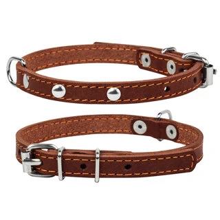 Ошейник "CoLLaR" одинарный с украшениями (ширина 12мм, длина 24-32см), коричневый