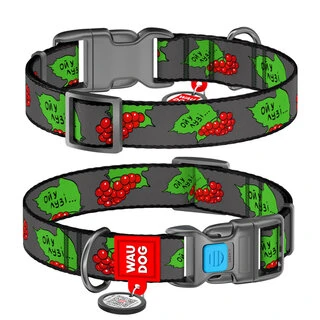 Ошейник для собак нейлоновый WAUDOG Nylon c QR-паспортом, рисунок "Калина", пластиковый фастекс, L, Ш 25 мм, Дл 31-49 см