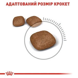 Сухий корм для кішок Royal Canin Urinary Care 400 г