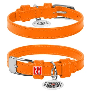 Нашийник для собак шкіряний WAUDOG Glamour з QR паспортом, без прикрас, Ш 12 мм, Дл 21-29 см, оранжевий