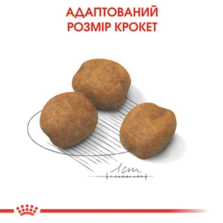 Сухой корм для щенков гигантских пород Royal Canin Giant Puppy до 8 месяцев 1 кг