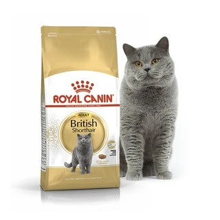Сухий корм Royal Canin British Shorthair Adult для котів породи британська короткошерста від 12 місяців 0,4 кг (НФ-00000225)