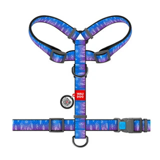 Шлея для собак анатомическая H-образная WAUDOG Nylon с QR-паспортом, рисунок "Ловец снов", пластиковый фастекс, S, Ш 15 мм, A 30-40, B 30-50