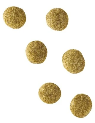 Сухий корм Royal Canin Hypoallergenic Small Dog лікувальний корм для собак 1 кг (НФ-00000291)