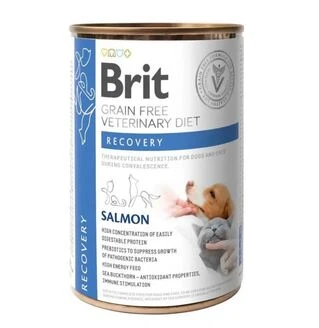 Вологий відновлювальний корм для собак Brit VetDiets Recovery Salmon у період реабілітації 400 г