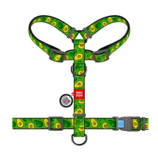 Анатомічний H-подібний нашийник для собак WAUDOG Nylon з QR-паспортом, малюнок "Авокадо", пластиковий фастекс, S, Ш 15 мм, A 30-40, B 30-50