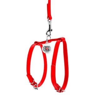 Шлея с поводком для собак кожаная WAUDOG Glamour c QR паспортом, Ш 12 мм, А 25-33 см, В 35-43 см, красный