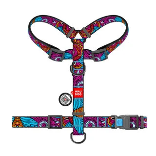Анатомічний H-подібний нашийник для собак WAUDOG Nylon з QR-паспортом, малюнок "Літо", пластиковий фастекс, М, Ш 20 мм, А 40-70, В 50-80