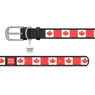 Ошейник WAUDOG Design с рисунком "Кленовый лист", премиум кожа, металлическая пряжка (ширина 20 мм, длина 30-39 см), черный