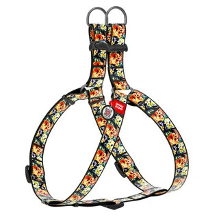 Анатомічний нашийник для собак WAUDOG Nylon з QR паспортом, малюнок "Гламурні черепи", пластиковий фастекс, Ш 25 мм, Дл 60-90 см