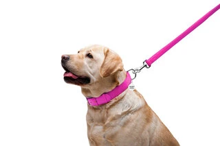 Повідок для собак шкіряний WAUDOG Glamour, Ш 25 мм, Дл 122 см, рожевий