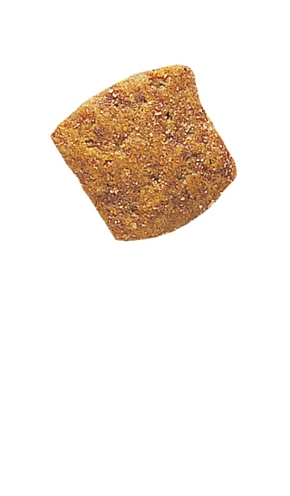 Сухой корм для котов Royal Canin Diabetic Feline страдающих сахарным диабетом 400 г