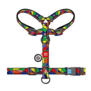 Шлея для собак анатомическая H-образная WAUDOG Nylon с QR-паспортом, рисунок&nbsp;"Витраж", пластиковый фастекс, L, Ш 25 мм, А 50-90, В 60-100