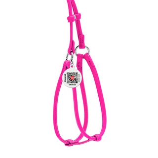 Шлея з повідцем для собак шкіряна WAUDOG Glamour з QR паспортом, кругла, Д 6 мм, А 26-46 см, В 30-50 см, рожевий