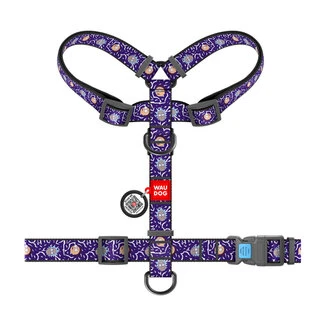 Шлея для собак анатомическая H-образная WAUDOG Nylon А QR паспортом, рисунок&nbsp;"Рик и Морти 2", пластиковый фастекс, М, Ш 20 мм, А 40-70 см, В 50-80 см