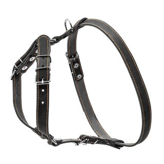 Шлея "CoLLaR" одинарная для мелких и средних собак (ширина 20мм, А:40-56см, В:57-65см), черный