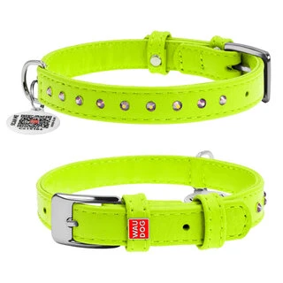 Нашийник для собак шкіряний WAUDOG Glamour з QR паспортом, з клейовими стразами, Ш 12 мм, Дл 21-29 см, салатовий