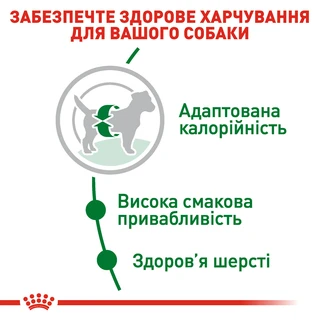 Сухой корм для собак Royal Canin Mini Adult мелких пород старше 10 месяцев 800 г