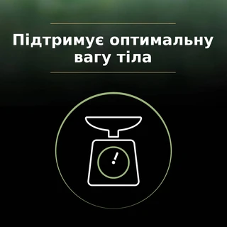 Сухой корм для стерилизованных котов Purina Pro Plan LiveClear для уменьшения аллергенов на шерсти с лососем 1.4 кг