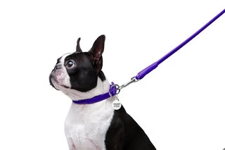 Поводок для собак кожаный WAUDOG Glamour, круглый, Д 8 мм, Дл 122 см, фиолетовый