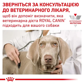 Сухий корм Royal Canin Urinary S/O 2 кг