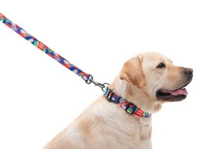 Поводок для собак нейлоновий WAUDOG Nylon, малюнок "Вітраж", Ш 20 мм, Дл 122 см