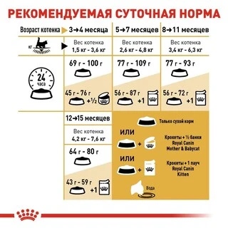 Сухий корм Royal Canin MAINECOON KITTEN для кошенят породи Мейн Кун 400 г