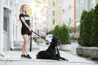 Поводок "EVOLUTOR" (ширина 25 мм, длина 210 см), черный