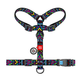 Шлея для собак анатомическая H-образная WAUDOG Nylon с QR-паспортом, рисунок&nbsp;"Инди", пластиковый фастекс, L, Ш 25 мм, А 50-90, В 60-100