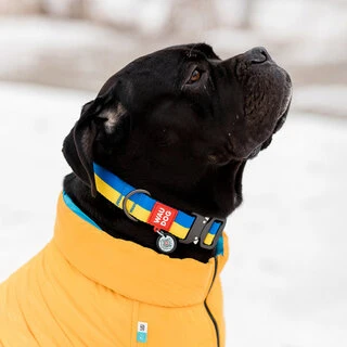 Ошейник для собак нейлоновый WAUDOG Nylon c QR паспортом, рисунок "Colors of freedom", пластиковый фастекс, XL, Ш 25 мм, Дл 35-58 см