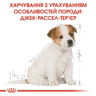 Сухой корм для щенков Royal Canin Jack Russel Puppy 1.5 кг