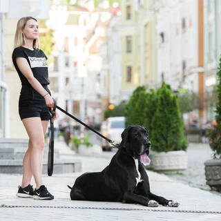 Поводок "EVOLUTOR" (ширина 25 мм, длина 300 см), черный